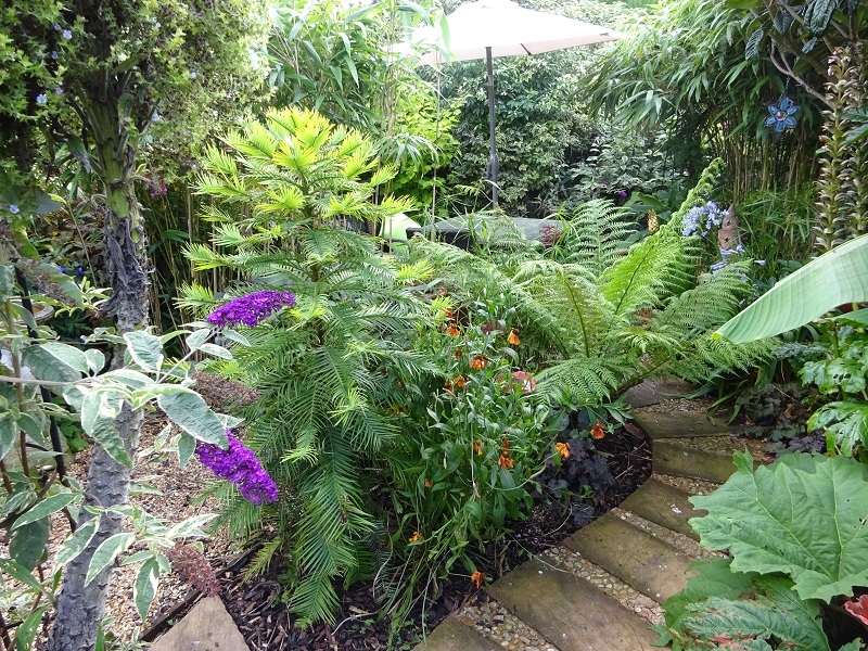 The Jungle Garden Brighton Ngs Gardens